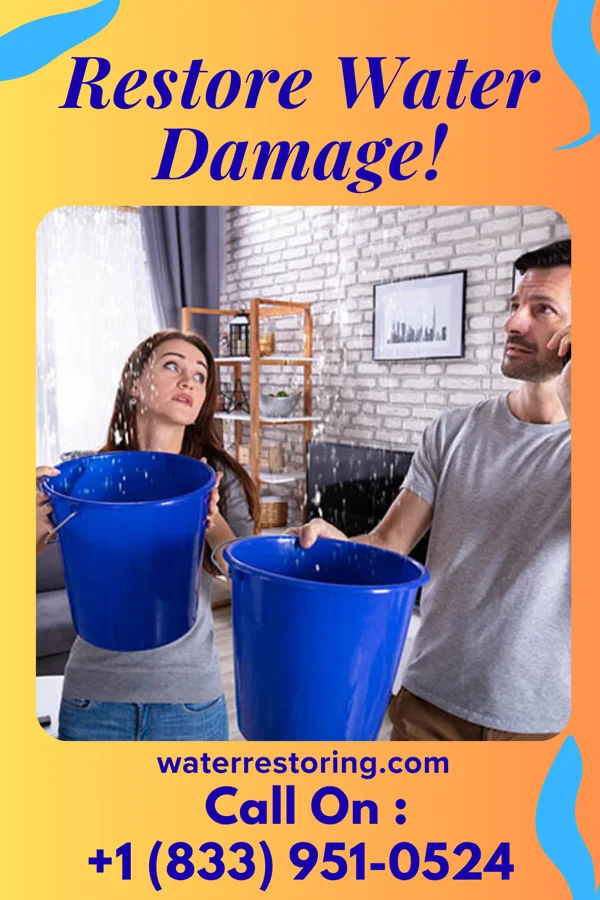water restoration Lightning Water Removal Pros Tiro
