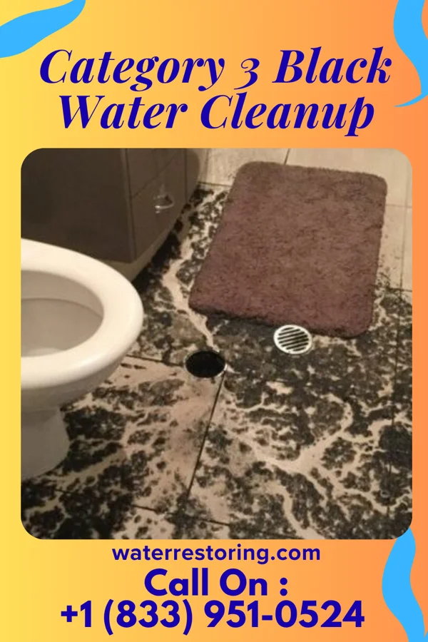 Category 3 Black Water Cleanup in Tiro, OH