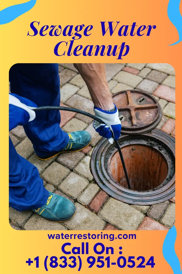 Sewage Water Cleanup in Tiro, OH