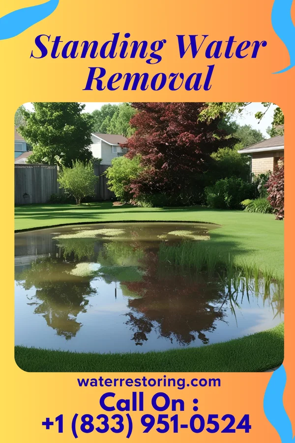 Standing Water Removal in Tiro, OH